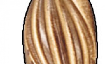 B0109